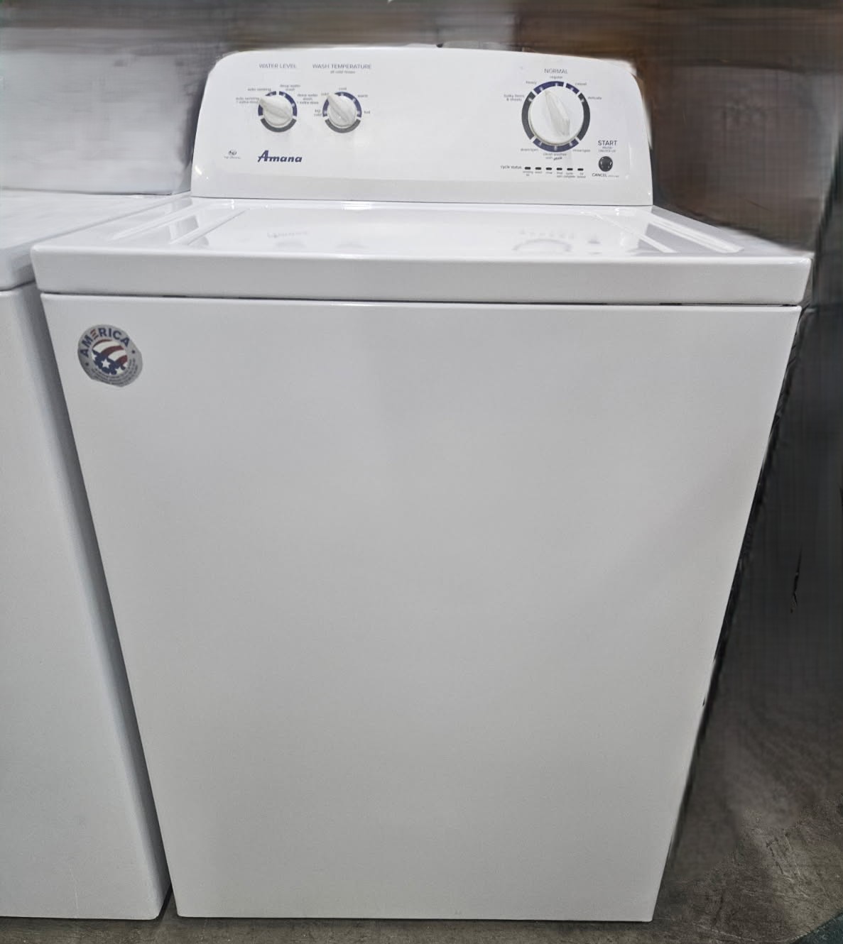 Top Load Washer with Agitator
